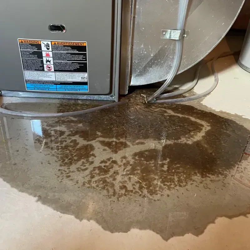 Appliance Leak Cleanup in Eureka, NV